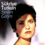 poster Arda Boylari Sevin Gayri