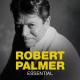 Robert Palmer - Mercy Mercy Me/I Want You