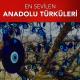 Yekta Hakan Polat, Aşkın Aşkın - Bülbülüm Altın Kafeste