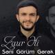 Zaur Əli - Seni Gorum Gerek