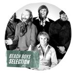 poster Surfin' USA Beach Boys Selection