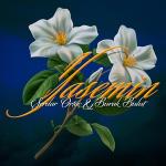 poster Yasemin Yasemin