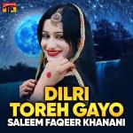 poster Manja Bando Dilri Toreh Gayo