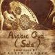 Yasser Farouk - Oud Iraqi