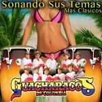 poster El Mechon Sonando Sus Temas Mas Clasicos