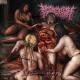 PeelingFlesh - Gimptro (Compilation Version)