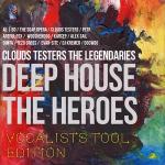 poster Because I Love You (Wooshendoo Instrumental Remix) Deep House The Heroes: Vocalist's Tool Edition