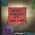 poster Never Forget You (Amél Extended Remix) Never Forget You - Amél Remix