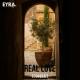 DNDM - Real Love (2025) [muznc.net]