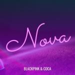 poster PAYING WITH FIRE Nova