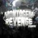 STRNG - MONTAGEM REVENGE FUNK
