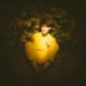 WHALES•TALK - SWAYZEE