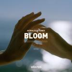 poster Bloom Bloom