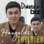 poster Diwanalar biz Diwanalar biz
