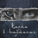 poster Карма в карманах Карма в карманах