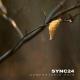 Sync24 - There Is No Spoon