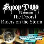poster Riders On The Strom Riders On The Storm (Fredwreck Remix)
