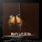 poster Misunderstood Freestyle (Bonus Track) What's Left of Me