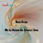 poster Za Tanha Swam Ma La Radam Ka Spansey Shin