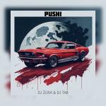 poster Pushi Pushi