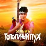 poster Тополиный пух (Иванушки International COVER) Тополиный пух (Иванушки International COVER)