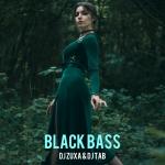 poster Black Bass Black Bass