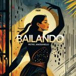 poster Bailando Bailando