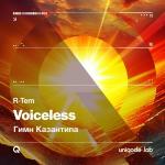 poster за закрытой дверью Voiceless (Гимн Казантипа)
