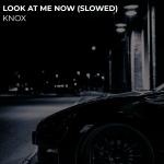 poster Look at Me Now (Slowed) Look at Me Now (Slowed)