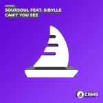 poster Can't You See (Instrumental Radio Edit) Can't You See