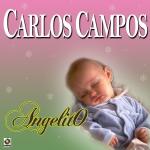 poster Ya Tenemos Chamizal Angelito