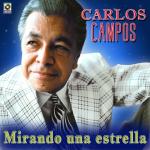 poster Champú De Cariño Mirando Una Estrella