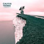 poster Hyenas FABRICLIVE 76: Calyx & TeeBee