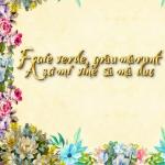 poster Tinerețea mi se duce Foaie verde, grâu mărunt Așa'mi vine să mă duc