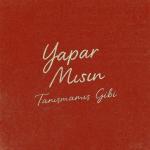 poster YAPAR MISIN? YAPAR MISIN?