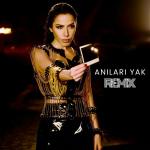 poster Anıları Yak (Remix) Anıları Yak (Remix)