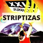 poster Jausmai Striptizas
