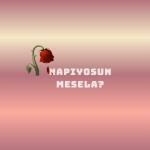 poster NAPIYOSUN MESELA? NAPIYOSUN MESELA?
