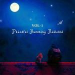 poster Nasheed - Unique Humming Nasheed of Night