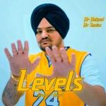 poster Levels Levels (Slowed + Reverb)