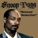 poster Sensual Seduction (Fyre Dept. Remix) Sensual Seduction (Fyre Dept. Remix)