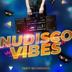 poster This Groove Nudisco Vibes
