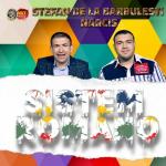 poster Cu toba și basul Sistem romano