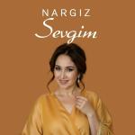 poster Anjancha Sevgim