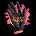 poster Пряными травами Пряными травами