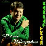poster Ezizime Sary Ýaprak 14 Albom