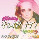 poster Flip It (Original Radio Edit) Flip It