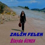 poster Zalim Felek Zalim Felek