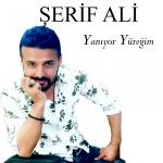 poster Ben Her Gece Sarhoşum Yanıyor Yüreğim