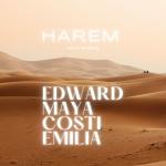 poster Harem (Dune Remix) Harem (Maxi Single)